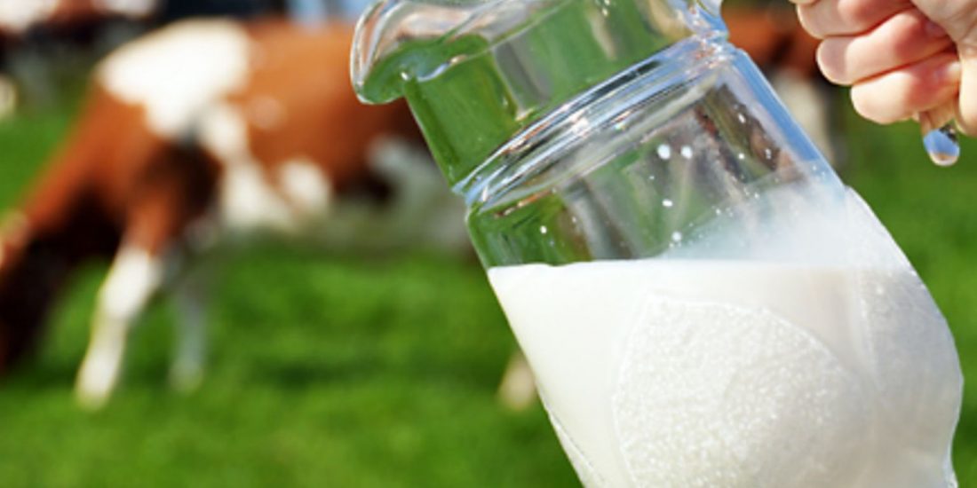 Rapport: ‘De echte prijs van melk’
