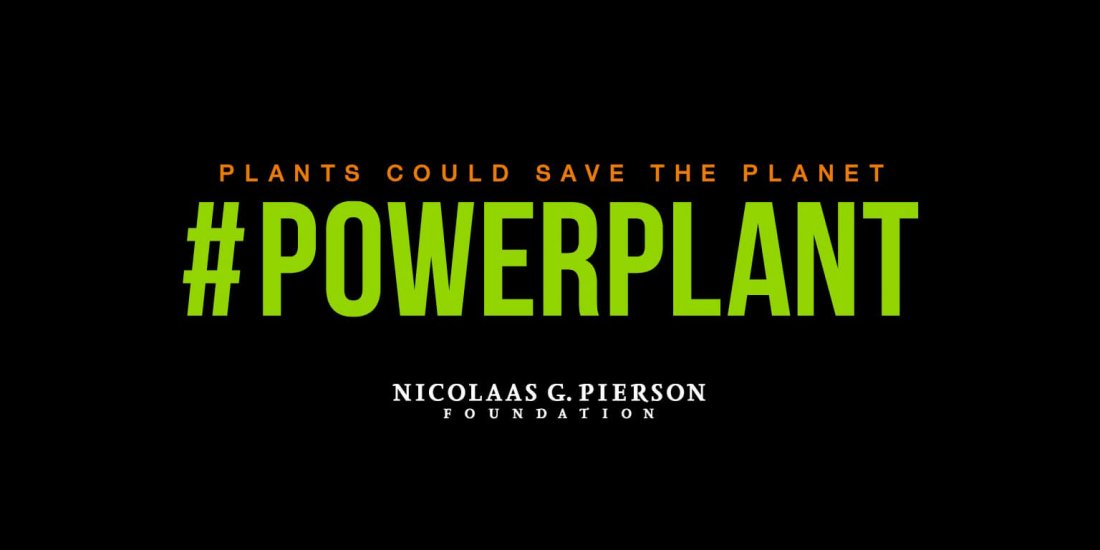 Documentary: #Powerplant