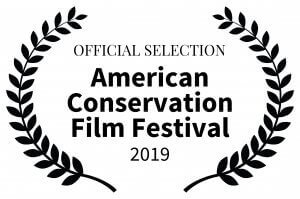 American Conservaton Film Festival